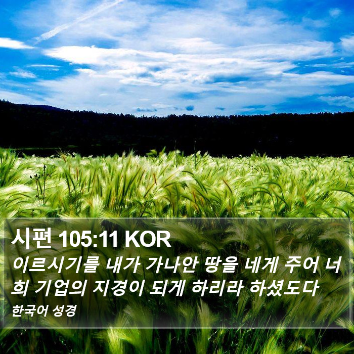 시편 105:11 KOR Bible Study