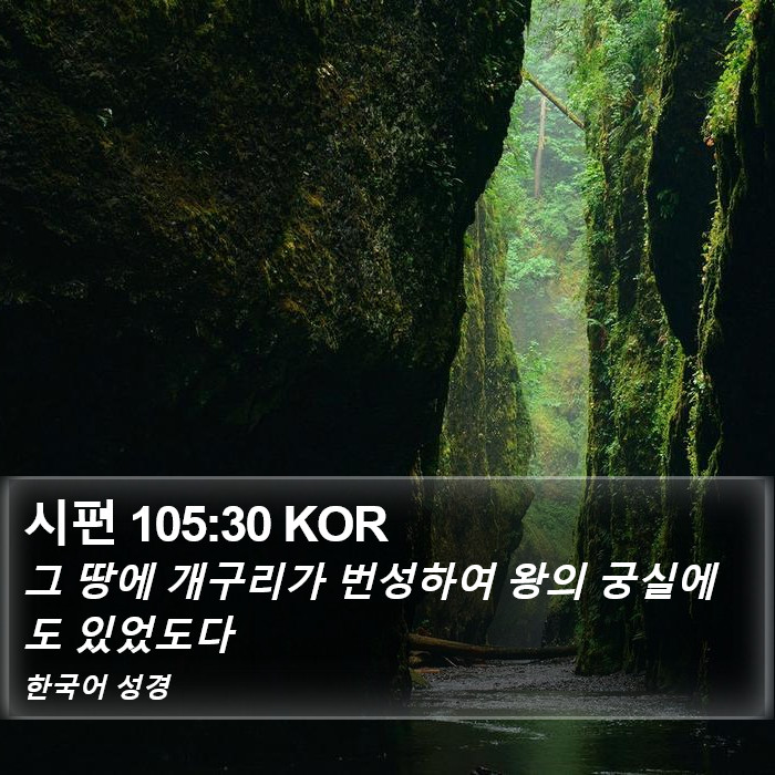 시편 105:30 KOR Bible Study