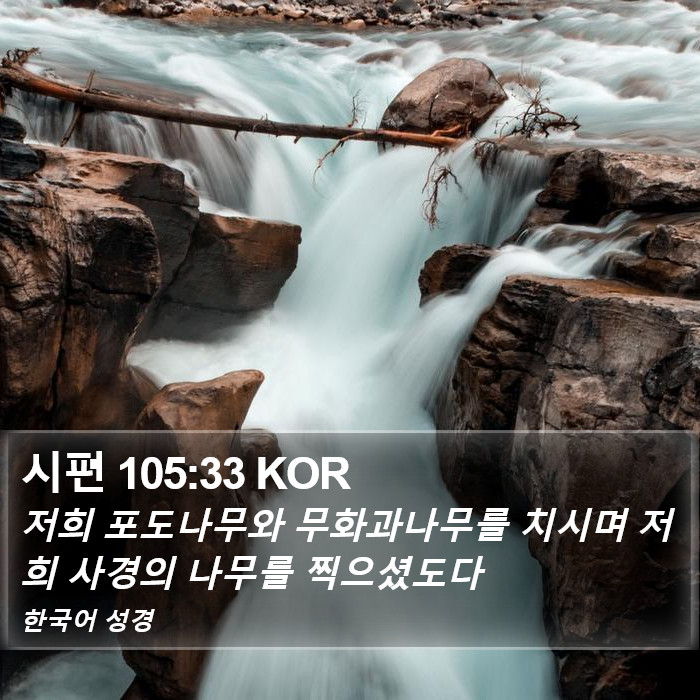 시편 105:33 KOR Bible Study