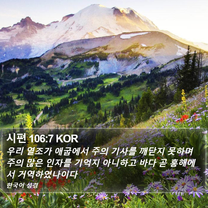 시편 106:7 KOR Bible Study