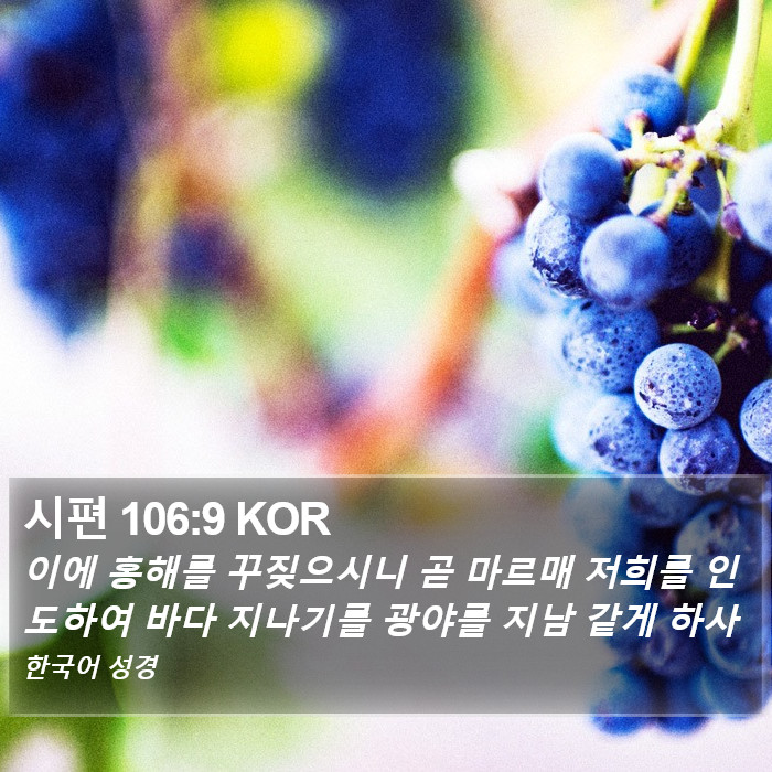 시편 106:9 KOR Bible Study