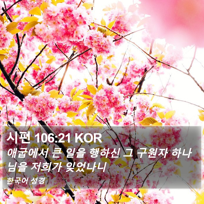 시편 106:21 KOR Bible Study