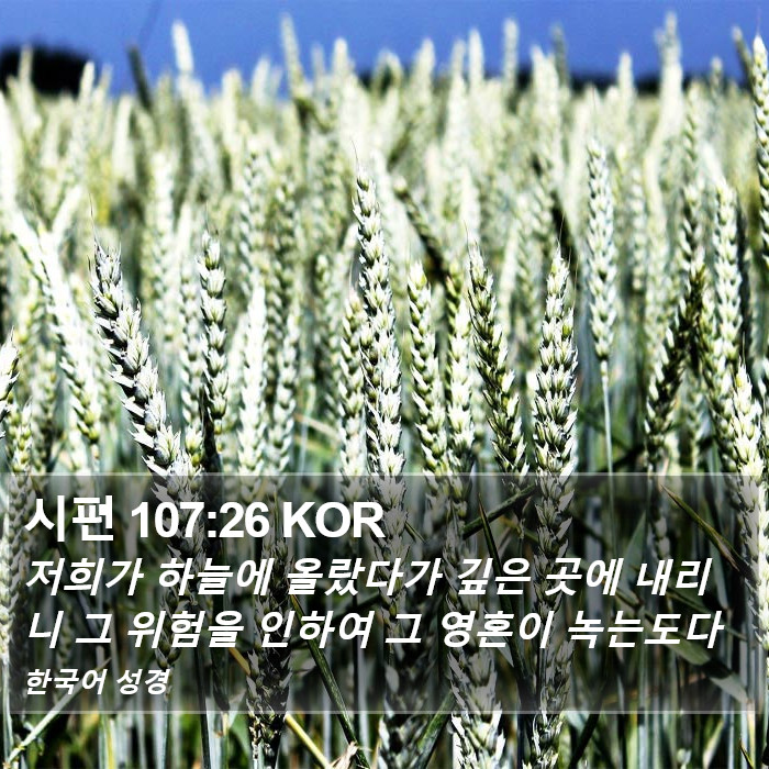 시편 107:26 KOR Bible Study