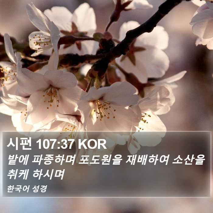 시편 107:37 KOR Bible Study