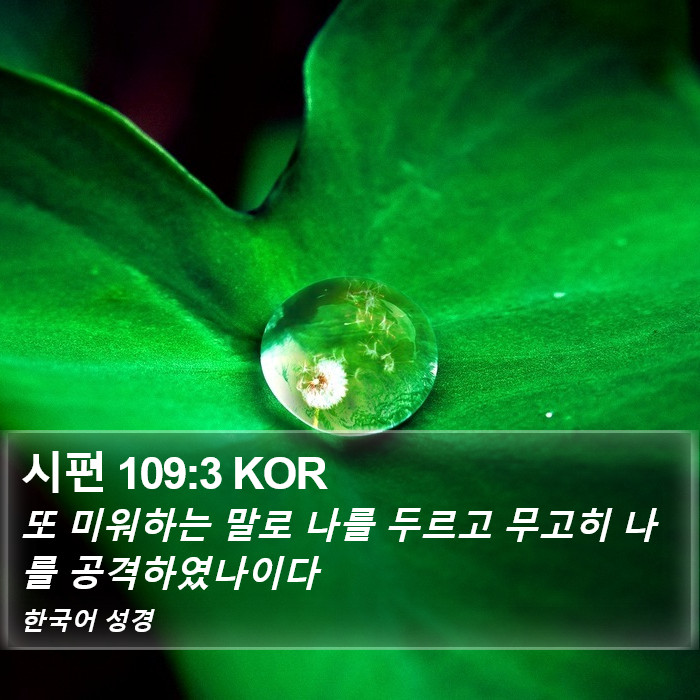 시편 109:3 KOR Bible Study