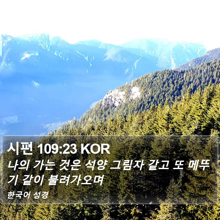 시편 109:23 KOR Bible Study