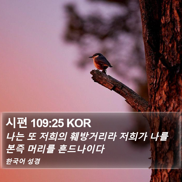 시편 109:25 KOR Bible Study