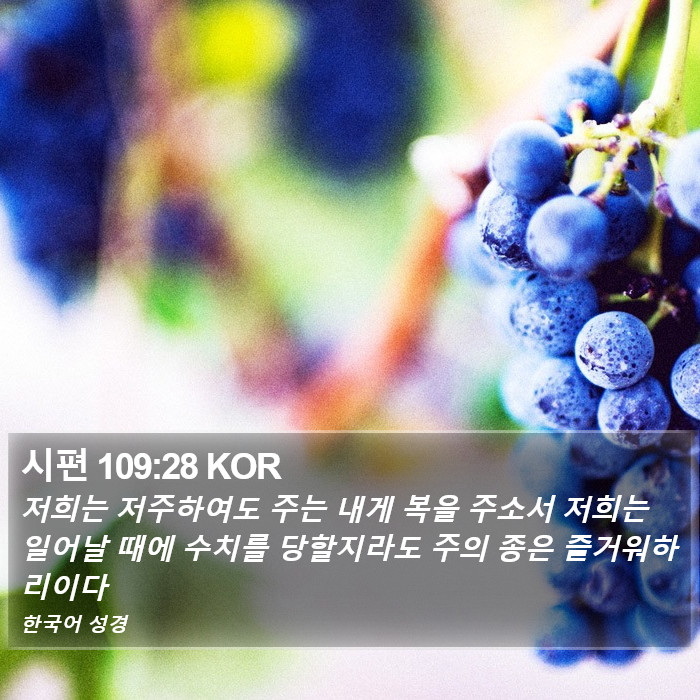 시편 109:28 KOR Bible Study