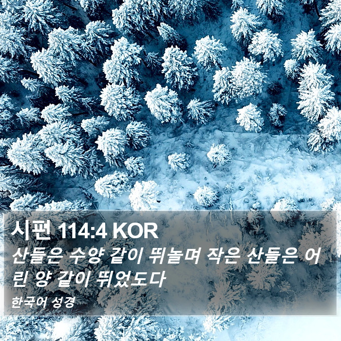 시편 114:4 KOR Bible Study