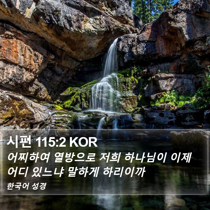 시편 115:2 KOR Bible Study