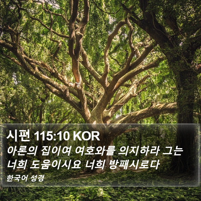 시편 115:10 KOR Bible Study