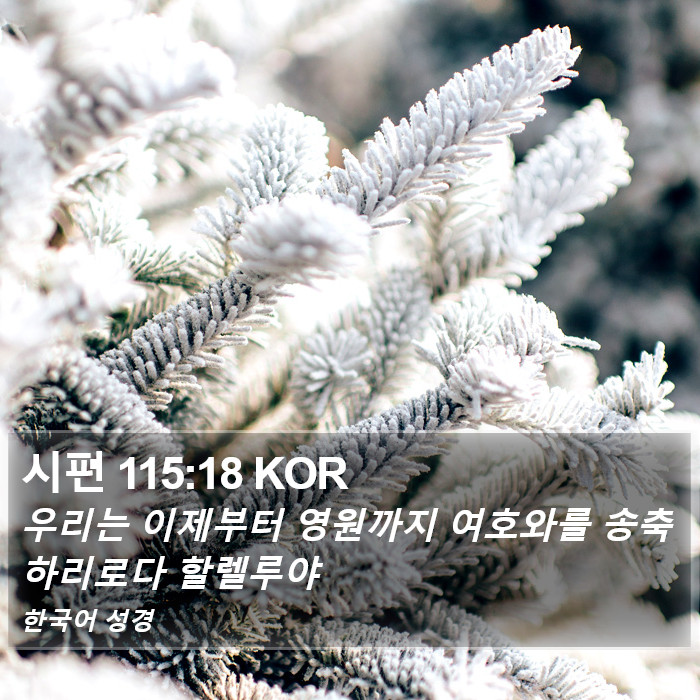 시편 115:18 KOR Bible Study