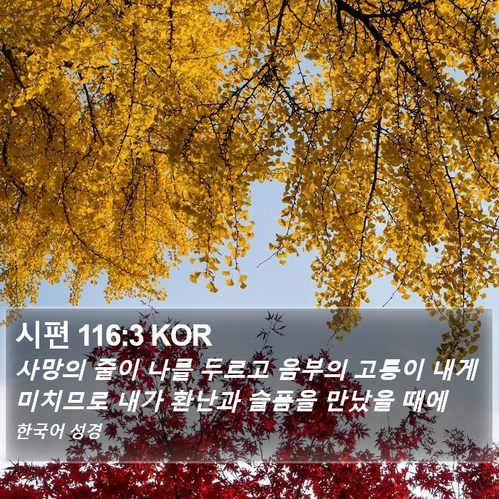 시편 116:3 KOR Bible Study