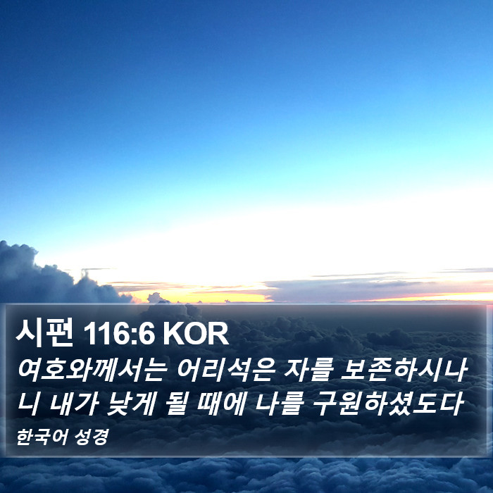 시편 116:6 KOR Bible Study