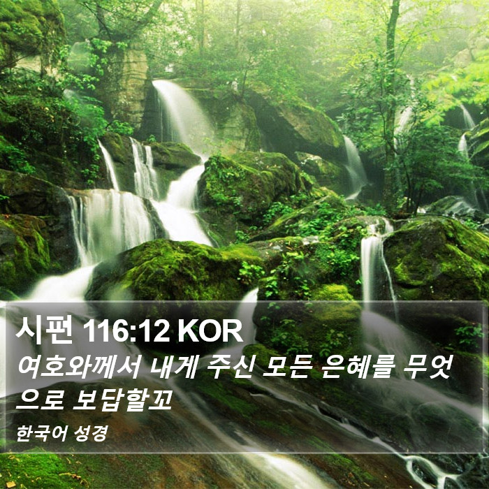 시편 116:12 KOR Bible Study