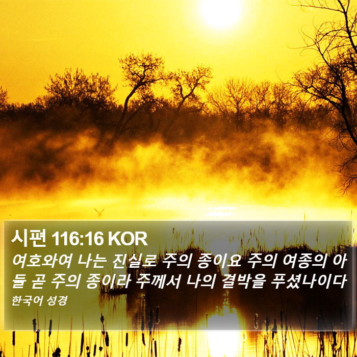 시편 116:16 KOR Bible Study