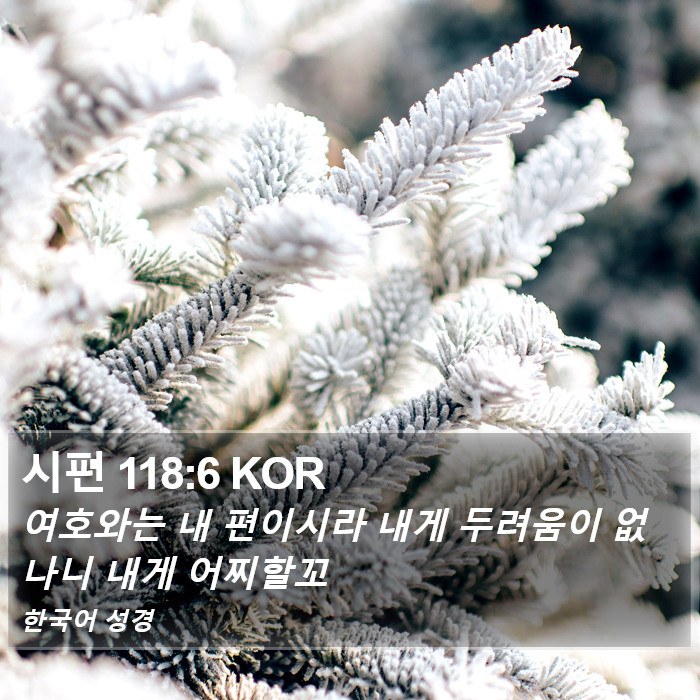 시편 118:6 KOR Bible Study