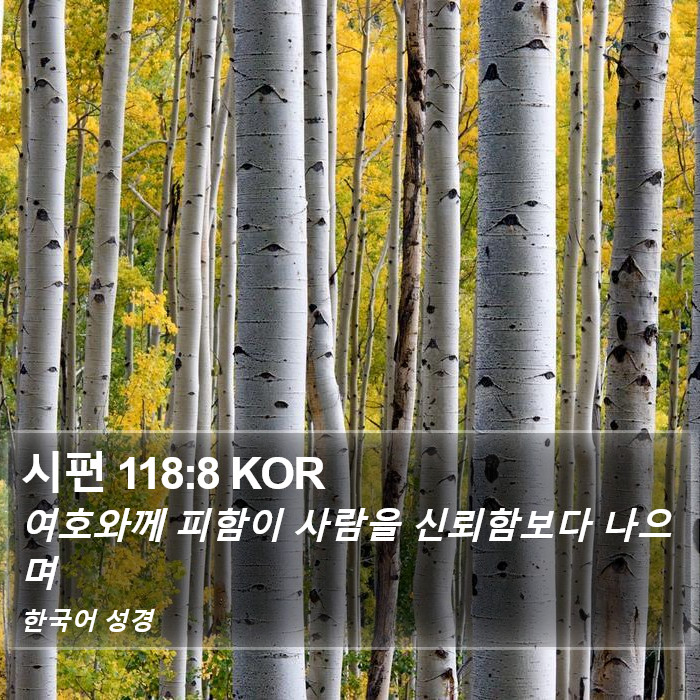 시편 118:8 KOR Bible Study