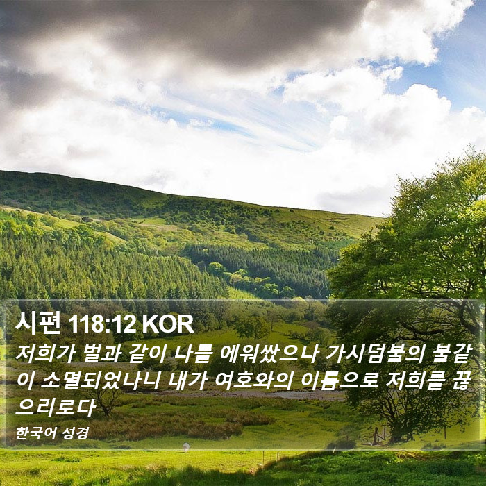 시편 118:12 KOR Bible Study