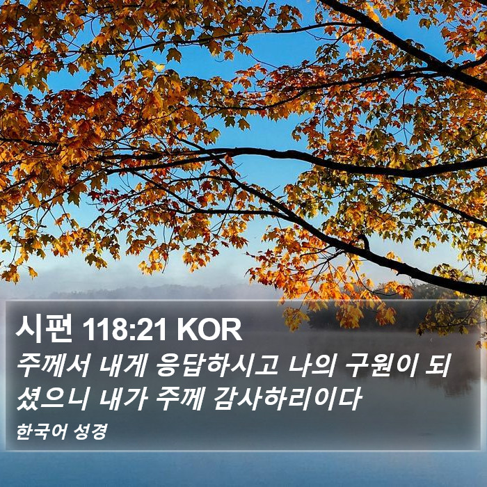 시편 118:21 KOR Bible Study