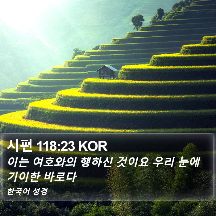 시편 118:23 KOR Bible Study