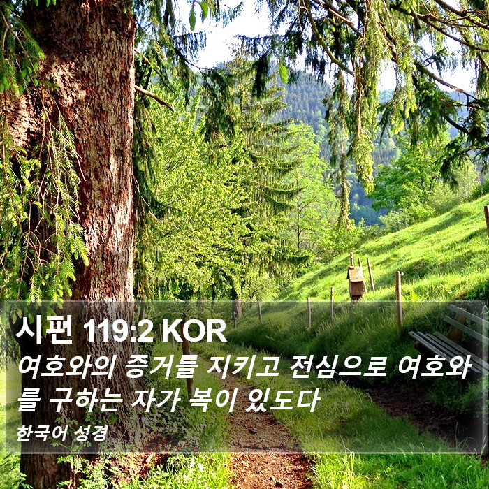 시편 119:2 KOR Bible Study