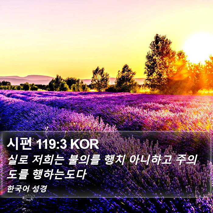 시편 119:3 KOR Bible Study