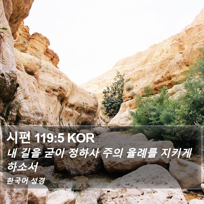 시편 119:5 KOR Bible Study