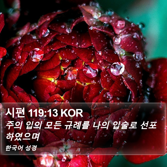 시편 119:13 KOR Bible Study