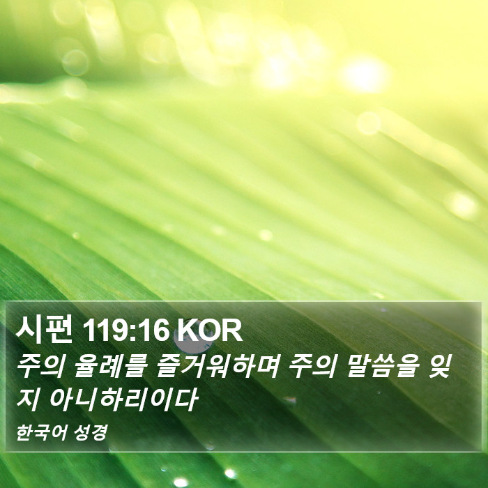 시편 119:16 KOR Bible Study