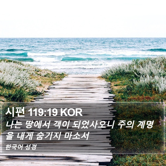 시편 119:19 KOR Bible Study