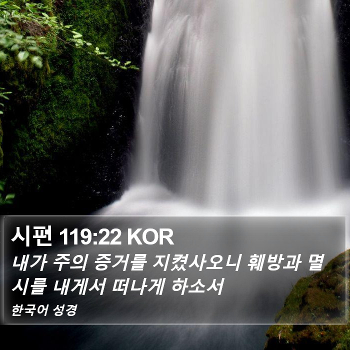 시편 119:22 KOR Bible Study