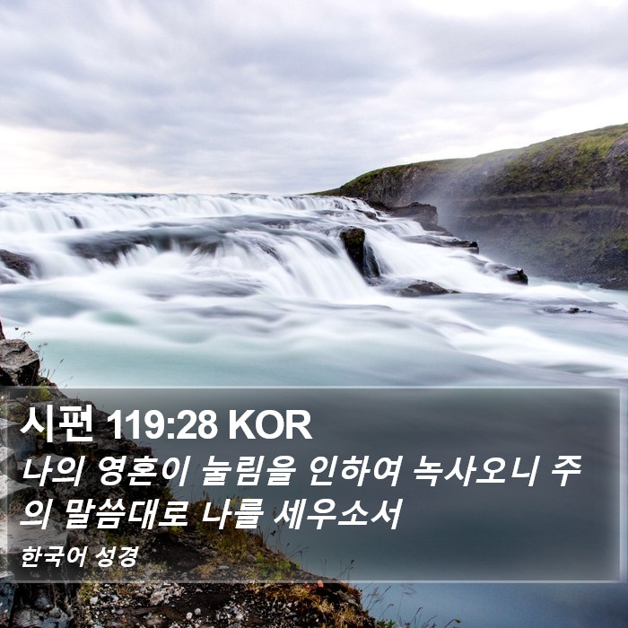 시편 119:28 KOR Bible Study