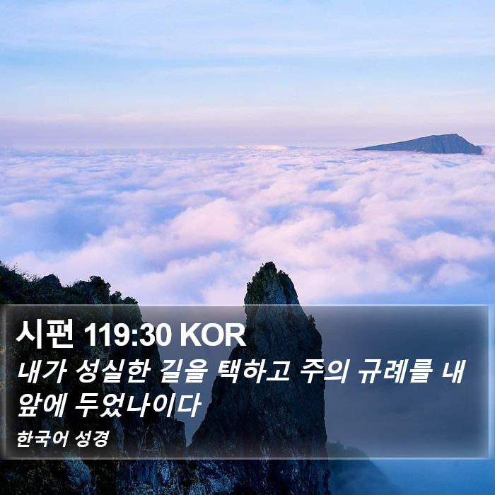 시편 119:30 KOR Bible Study