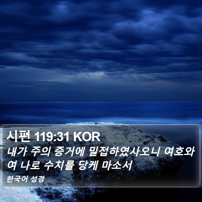 시편 119:31 KOR Bible Study