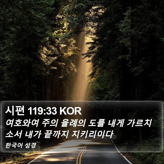 시편 119:33 KOR Bible Study