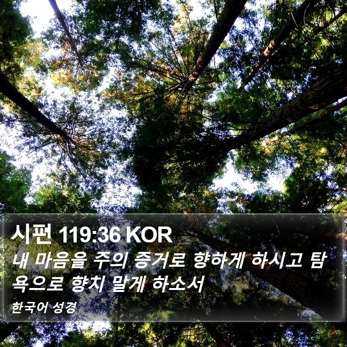 시편 119:36 KOR Bible Study