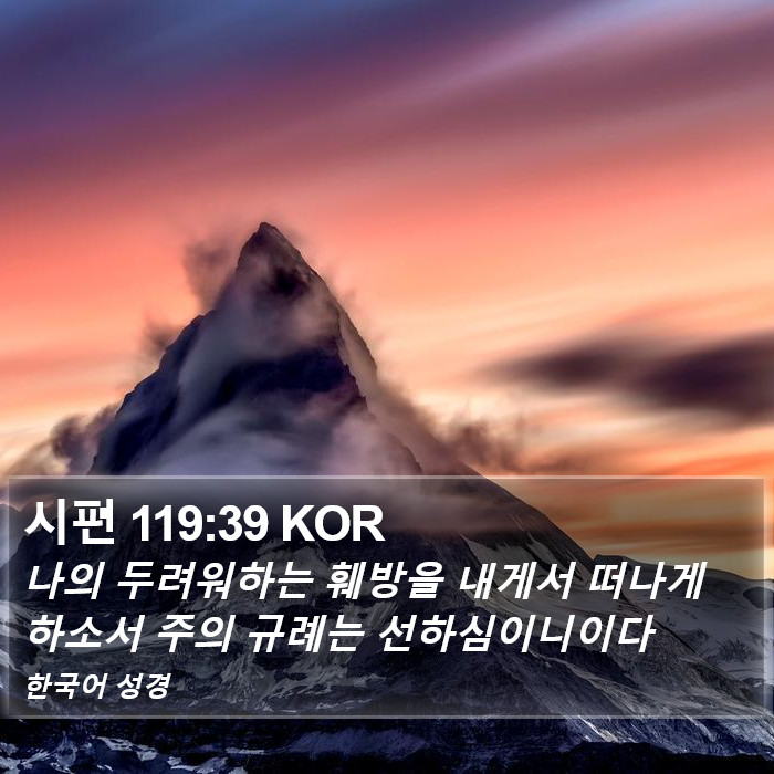 시편 119:39 KOR Bible Study