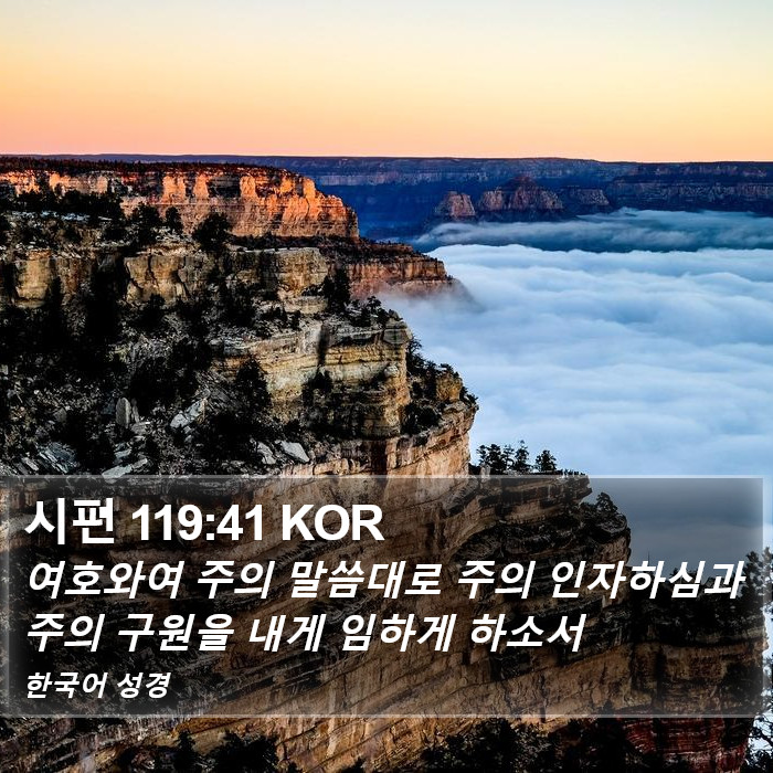 시편 119:41 KOR Bible Study