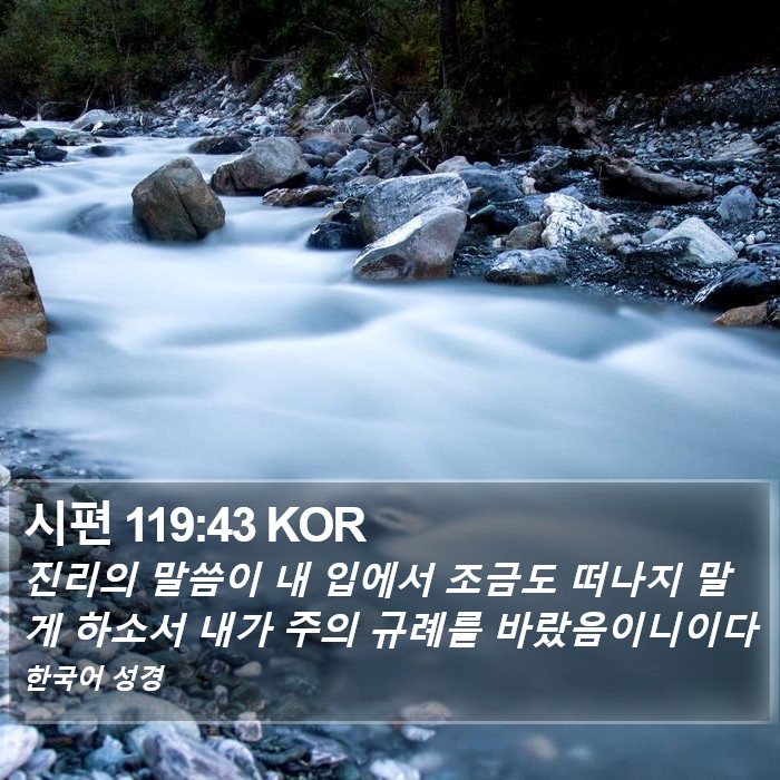 시편 119:43 KOR Bible Study