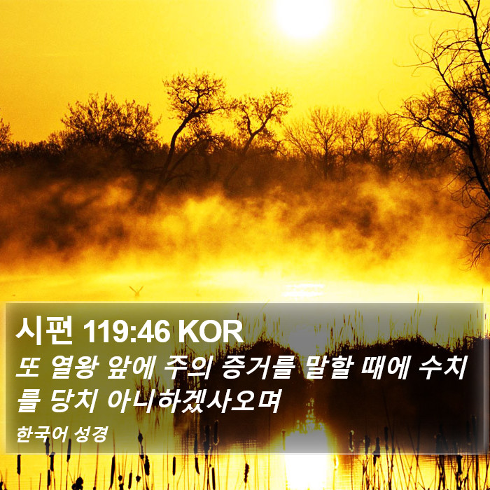 시편 119:46 KOR Bible Study