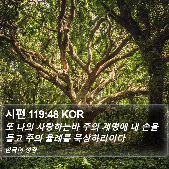 시편 119:48 KOR Bible Study