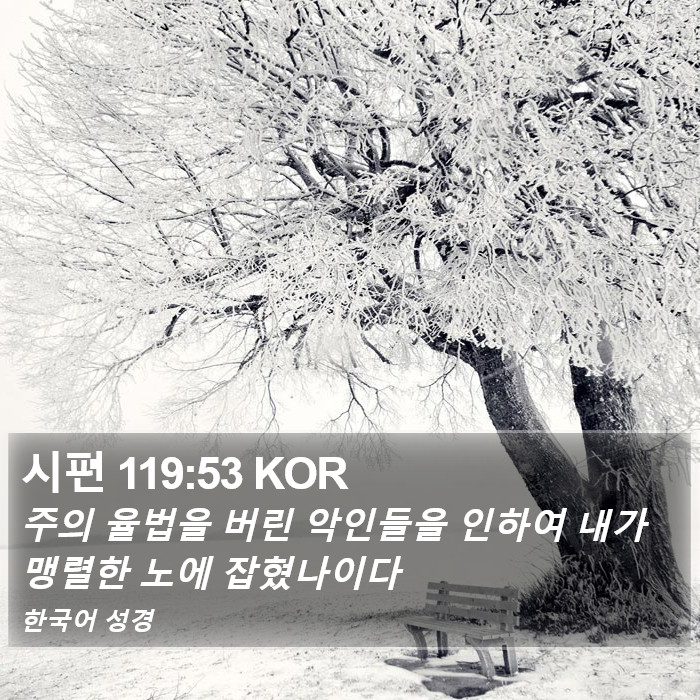 시편 119:53 KOR Bible Study