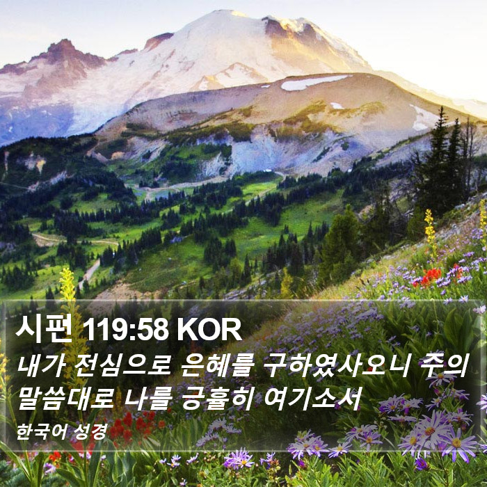 시편 119:58 KOR Bible Study