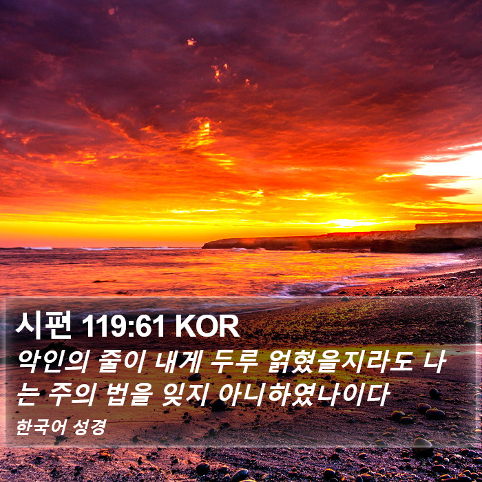 시편 119:61 KOR Bible Study