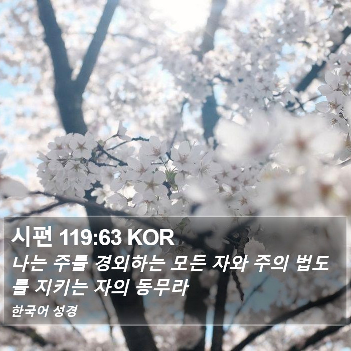 시편 119:63 KOR Bible Study