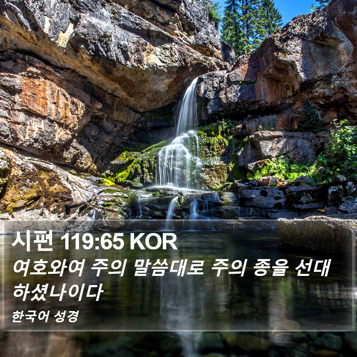 시편 119:65 KOR Bible Study