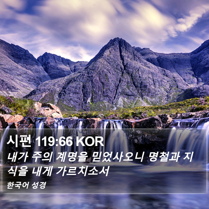 시편 119:66 KOR Bible Study