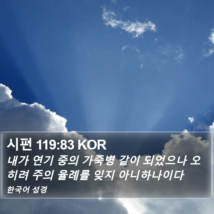 시편 119:83 KOR Bible Study