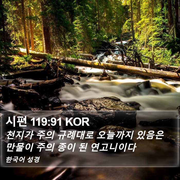 시편 119:91 KOR Bible Study